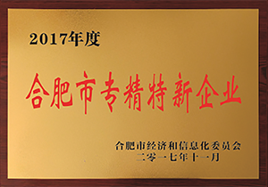 2017年度合肥市專精特新企業(yè)
