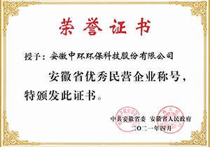 2021年安徽省優(yōu)秀民營企業(yè)